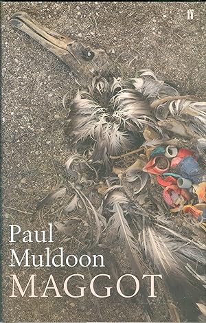 Seller image for Maggot for sale by Philip Gibbons Books