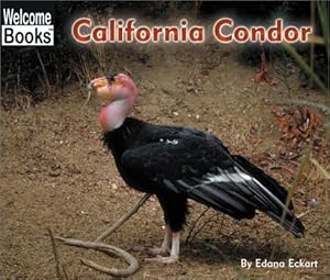 Bild des Verkufers fr California Condor (Welcome Books) zum Verkauf von -OnTimeBooks-