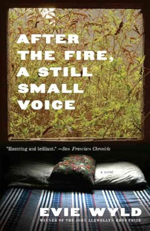 Seller image for After the Fire, a Still Small Voice for sale by GreatBookPricesUK