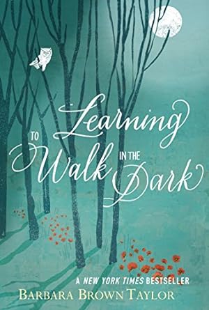Imagen del vendedor de Learning to Walk in the Dark a la venta por -OnTimeBooks-