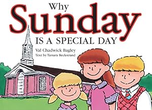 Seller image for Why Sunday Is a Special Day for sale by -OnTimeBooks-