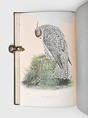 Seller image for Falconry in the British Isles. for sale by Peter Harrington.  ABA/ ILAB.