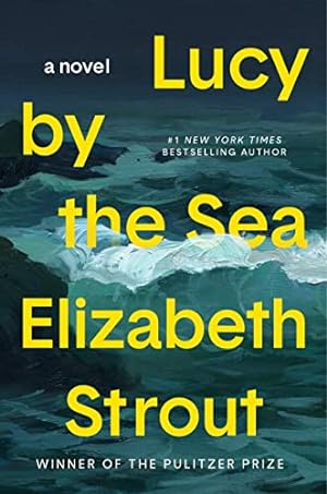 Bild des Verkufers fr Lucy by the Sea: A Novel zum Verkauf von -OnTimeBooks-