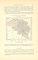 Increase of the Dutch population from1840-1865,1882 1800s Antique Map