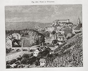 Tubingen on the Neckar River in the state of Baden-W?rttemberg, Germany,1881 Antique Historical P...