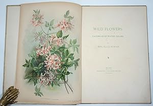 Bild des Verkufers fr Wild Flowers / Facsimiles of Water Colors by Mrs. Ellis Rowan zum Verkauf von Antipodean Books, Maps & Prints, ABAA