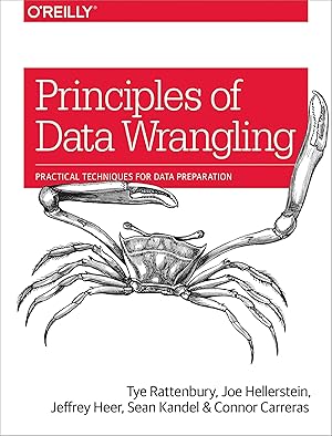 Seller image for Principles of Data Wrangling for sale by moluna