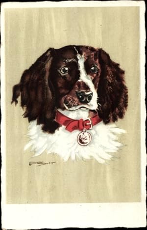 Künstler Ansichtskarte / Postkarte Peyk, Hilla, Unsere Lieblinge, Münsterländer, Hundeportrait