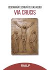 Seller image for Via Crucis for sale by Agapea Libros