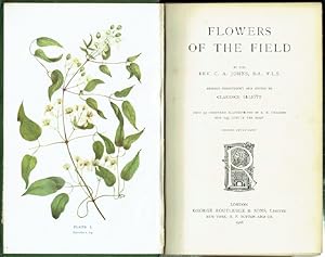 Flowers Of The Field