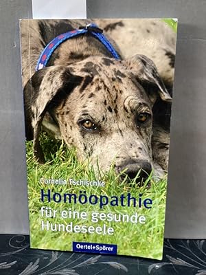 Homoöpathie für eine gesunde Hundeseele.