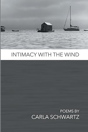 Bild des Verkufers fr Intimacy with the Wind zum Verkauf von moluna