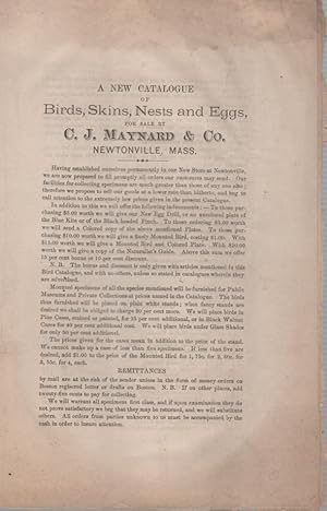 A New Catalogue of Birds, Skins, Nests and Eggs for Sale by C.J. Maynard & Co