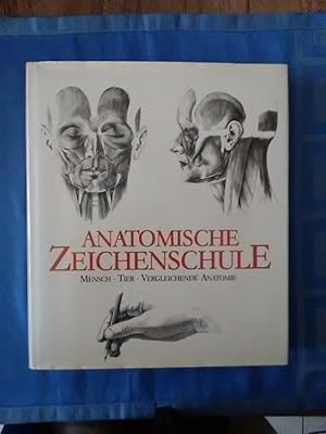 Bild des Verkufers fr Anatomische Zeichenschule : Mensch, Tier, vergleichende Anatomie. Zeichn. von Andrs Szunyoghy. Texte von Gyrgy Fehr. [Dt. bers.: Gaia Text, Mnchen] zum Verkauf von Antiquariat BehnkeBuch