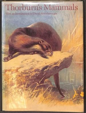 Seller image for THORBURNS MAMMALS for sale by WeBuyBooks