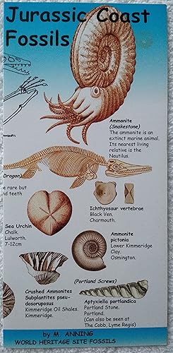 Bild des Verkufers fr Jurassic Coast Fossils zum Verkauf von Wessex Gourmet