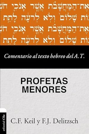 Bild des Verkufers fr Comentario Al Texto Hebreo del Antiguo Testamento - Profetas Menores zum Verkauf von moluna