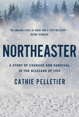 Seller image for Northeaster: A Story of Courage and Survival in the Blizzard of 1952 (Paperback or Softback) for sale by BargainBookStores