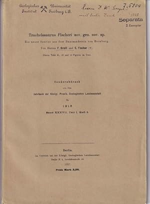 Trachelosaurus Fischeri nov. gen. nov. sp. - Ein neuer Saurier aus dem Buntsandstein von Bernburg.