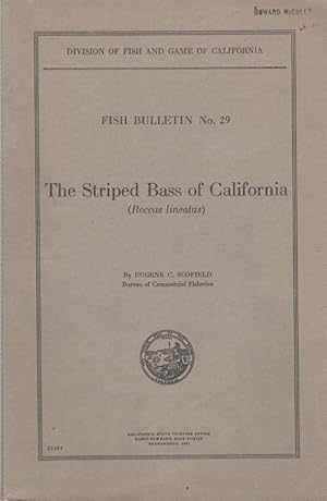 The Striped Bass of California (Roccus lineatus)