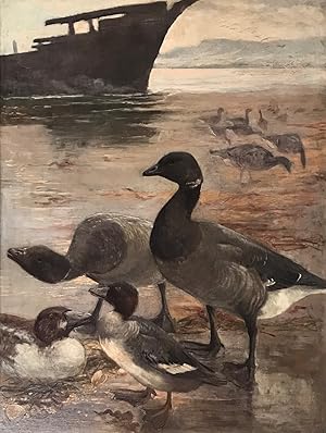 Alexander Hellier Berens- BRENT GEESE [Oil on Canvas]