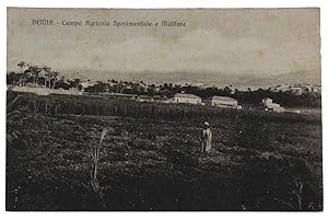 DERNA Campo Agricolo Sperimentale e militare CARTOLINA COLOIALE del 1918: