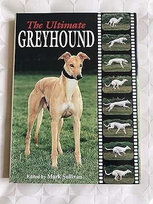 The Ultimate Greyhound.