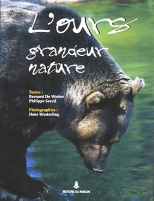 L'ours grandeur nature - Philippe Soreil