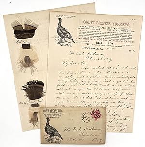 Letter from Turkey Breeder "Bird Bros" with Five (5) Feather Samples for Prize Winning Birds