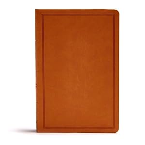 Immagine del venditore per Holy Bible : Christian Standard Bible, Tan, Leathertouch venduto da GreatBookPrices