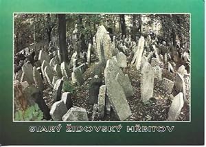 Seller image for POSTAL A4689: Cementerio Hebreo en Praga for sale by EL BOLETIN