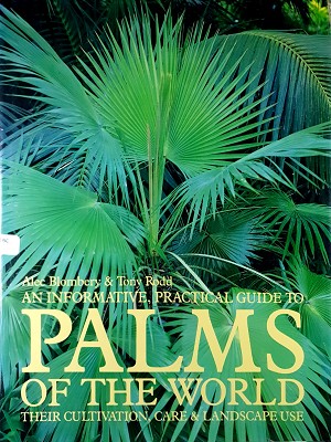 Seller image for Palms: An Informative, Practical Guide To Palms Of The World - Their Cultivation, Care And Landscape Use for sale by Marlowes Books and Music