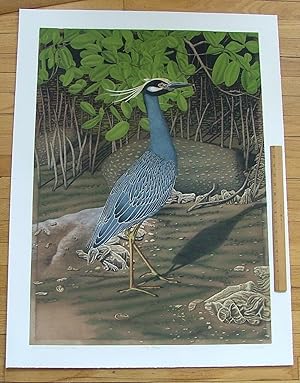 Yellow Crowned Night Heron, an original copper plate engraving from the collection of twenty Bird...