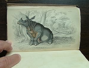 Seller image for The Natural History of The Pachydermes, or Thick-Skinned Quadrupeds; Consisting of the Elephant, Rhinoceros, Hippopotamus, Tapir, Hog, &c for sale by Frogtown Books, Inc. ABAA
