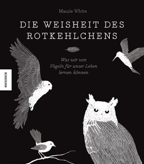 Die Weisheit des Rotkehlchens