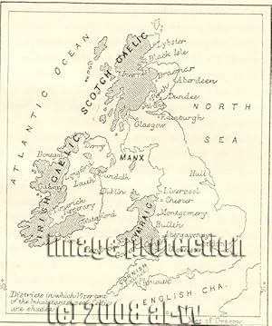Districts where Inhabitants speak Celtic in the British Isles,1881 1800s Antique Map