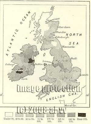 Distribution of Cattle per sq mile in the British Isles,1881 1800s Antique Map
