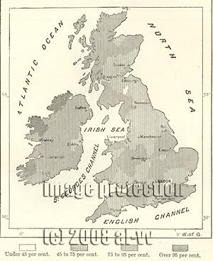 Birthpale of People from Irish Counties living in the British Isles,1881 1800s Antique Map