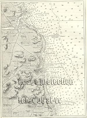 The Durham Coast between Sunderland and the Tyne,1881 1800s Antique Map
