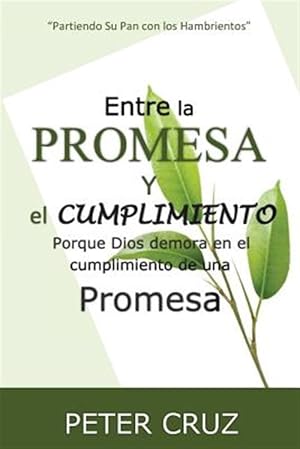 Immagine del venditore per Entre La Promesa Y El Cumplimiento : Porque Dios Demora En El Cumplimiento De Una Promesa -Language: spanish venduto da GreatBookPrices