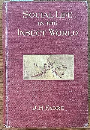 Social Life in the Insect World