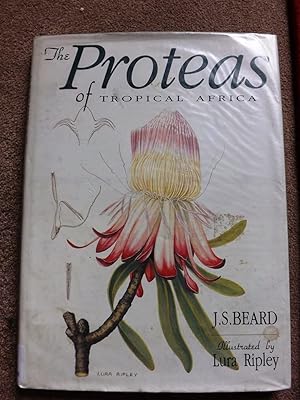 The Proteas of Tropical Africa