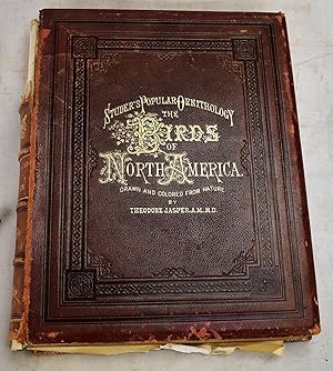 Seller image for Studer's Popular Ornithology. The Birds of North America for sale by Sequitur Books