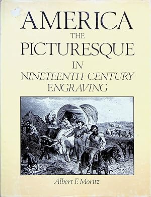 Seller image for America: The Picturesque in Nineteenth Century Engraving for sale by Adventures Underground
