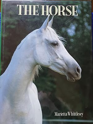 Imagen del vendedor de Majesty of the Horse a la venta por Libreria Anticuaria Camino de Santiago