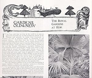 Seller image for The Royal Gardens at Kew. Several pictures and accompanying text, removed from an original issue of Country Life Magazine, 1898. for sale by Cosmo Books
