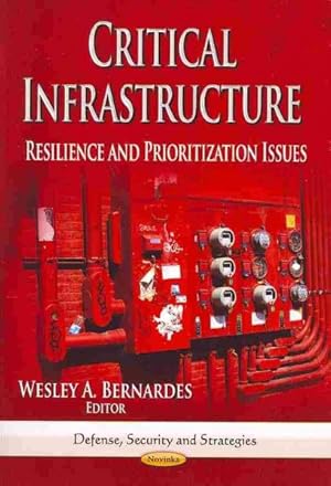 Immagine del venditore per Critical Infrastructure : Resilience and Prioritization Issues venduto da GreatBookPricesUK