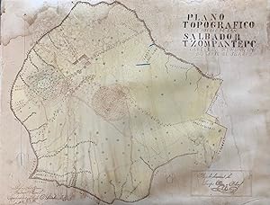 [Map] Plano Topografico del Pueblo de San Salbador Tzompatepc Cabecera del Municipio Distrito de ...