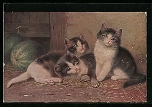 Seller image for Knstler-Ansichtskarte niedliche Katzen im Vorratsraum neben Wassermelone for sale by Bartko-Reher