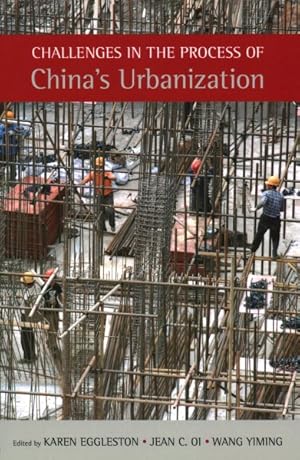 Seller image for Challenges in the Process of China's Urbanization for sale by GreatBookPricesUK